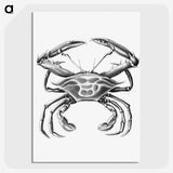 2-82_Ernst-Haeckel_picture-crop