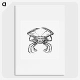 2-82_Ernst-Haeckel_picture