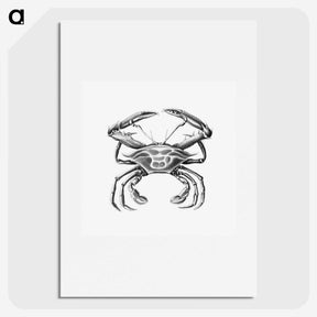 2-82_Ernst-Haeckel_picture