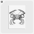 2-82_Ernst-Haeckel_postcard