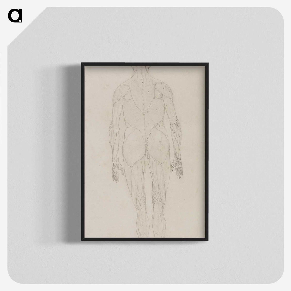 2-82_George-Stubbs_blk-crop