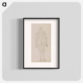 アートポスター-Human Figure, Posterior View
 - ジョージ スタッブス Poster.