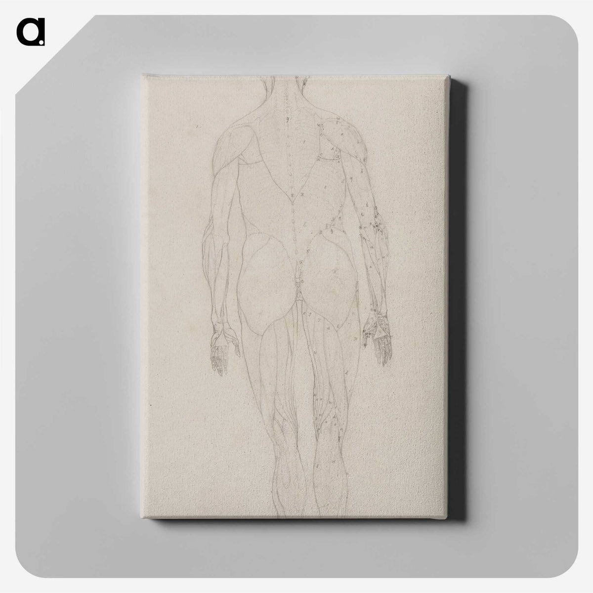 2-82_George-Stubbs_canvas