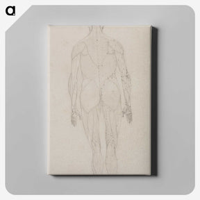 2-82_George-Stubbs_canvas