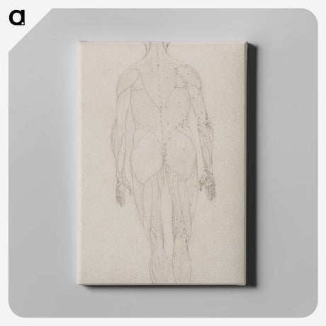 2-82_George-Stubbs_canvas
