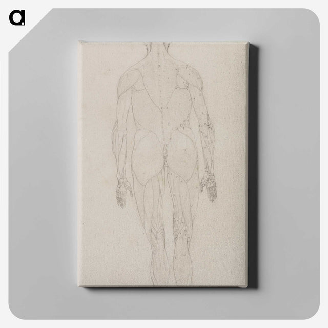 2-82_George-Stubbs_canvas