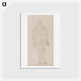 アートポストカード-Human Figure, Posterior View
 - ジョージ スタッブス Postcard.