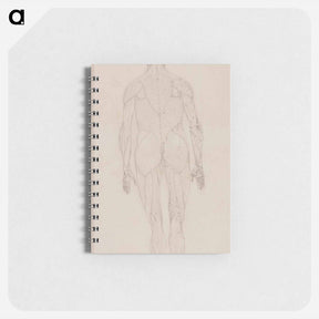 アートメモ帳-Human Figure, Posterior View
 - ジョージ スタッブス Memo.