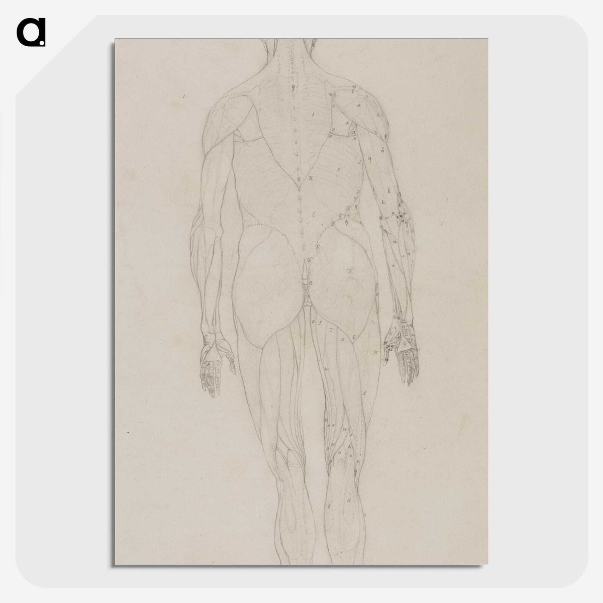 2-82_George-Stubbs_picture-crop