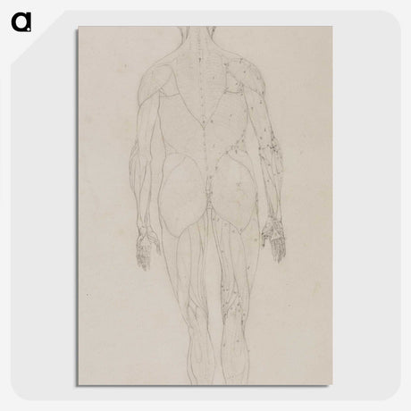2-82_George-Stubbs_picture-crop