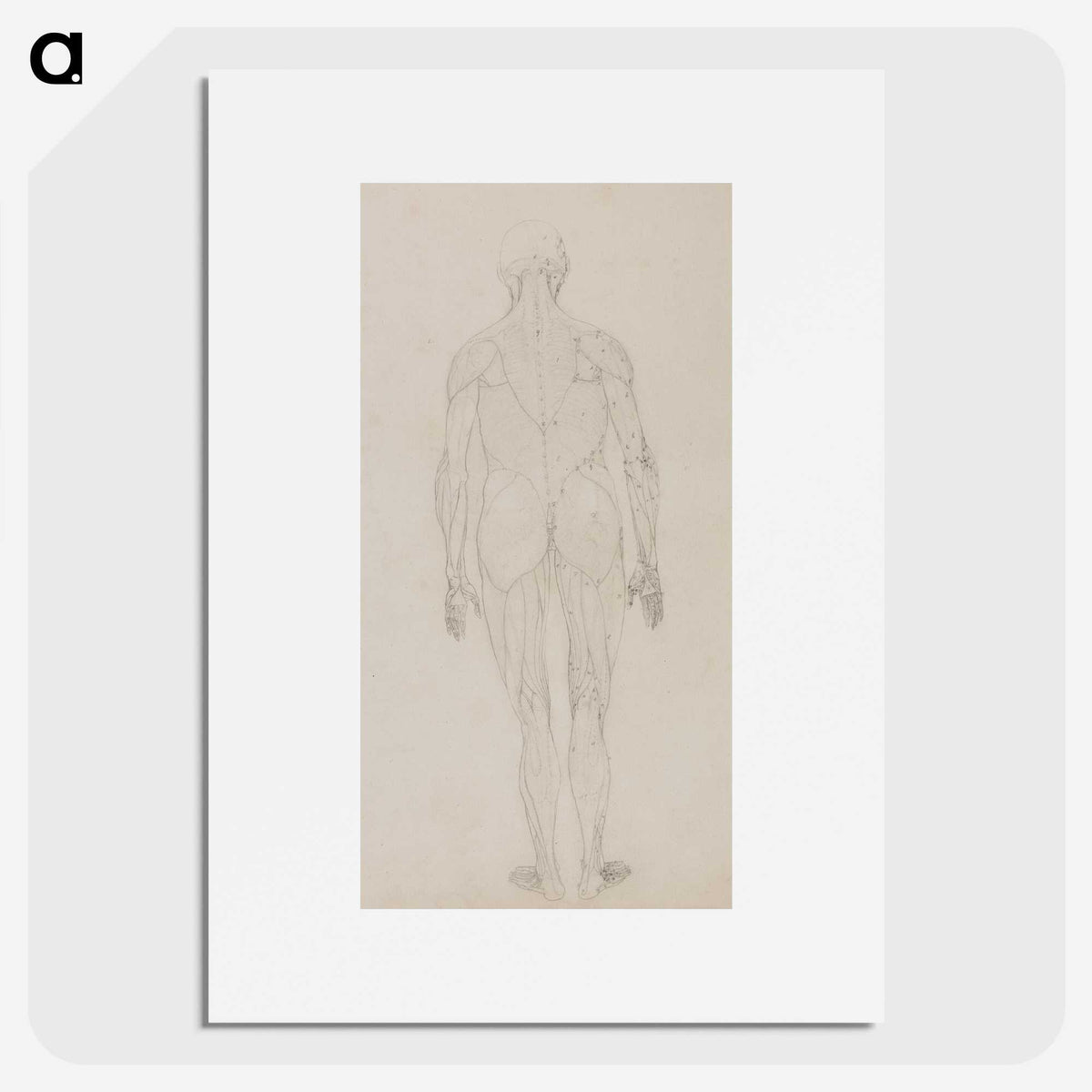 2-82_George-Stubbs_picture