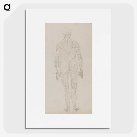 2-82_George-Stubbs_picture