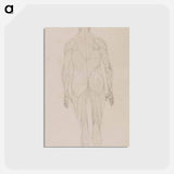 アートポストカード-Human Figure, Posterior View
 - ジョージ スタッブス Postcard.