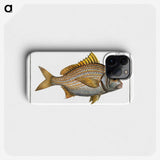 2-82_Ichtyologie-ou-Histoire-naturelle_phone