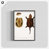 2-82_Indian-Zoology_blk-crop