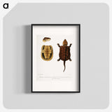 2-82_Indian-Zoology_blk