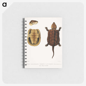 2-82_Indian-Zoology_memo