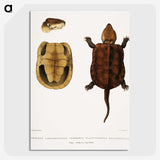 2-82_Indian-Zoology_picture-crop