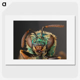 2-82_Insects-Unlocked-Project_picture