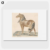 2-82_Johan-Teyler_picture