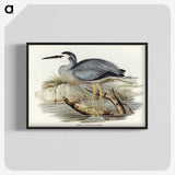 2-82_John-Gould_blk-crop
