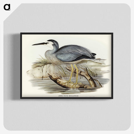 2-82_John-Gould_blk-crop
