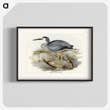 2-82_John-Gould_blk