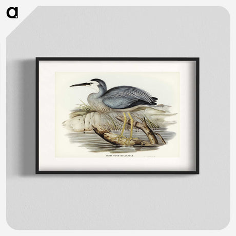 2-82_John-Gould_blk