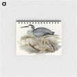 2-82_John-Gould_memo