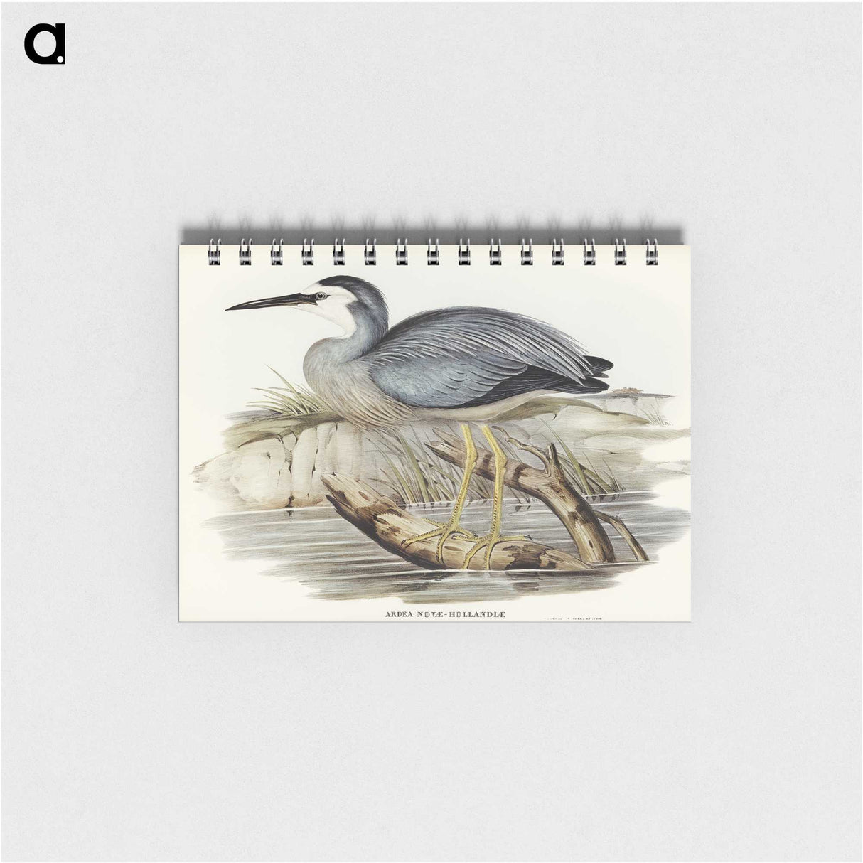 2-82_John-Gould_memo