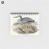 2-82_John-Gould_memo