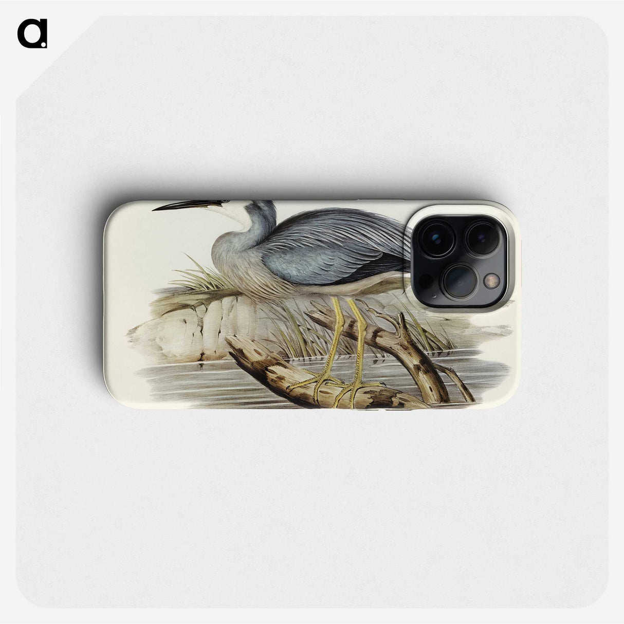 2-82_John-Gould_phone