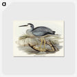 2-82_John-Gould_postcard