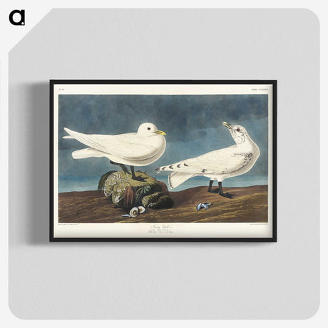 2-82_John-James-Audubon_blk-crop