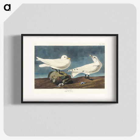 2-82_John-James-Audubon_blk