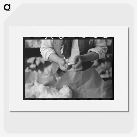 2-82_Marion-Post-Wolcott_picture
