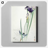 2-82_Ohara-Koson_canvas