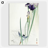 2-82_Ohara-Koson_picture-crop