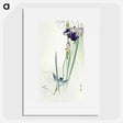 2-82_Ohara-Koson_picture