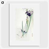 2-82_Ohara-Koson_picture