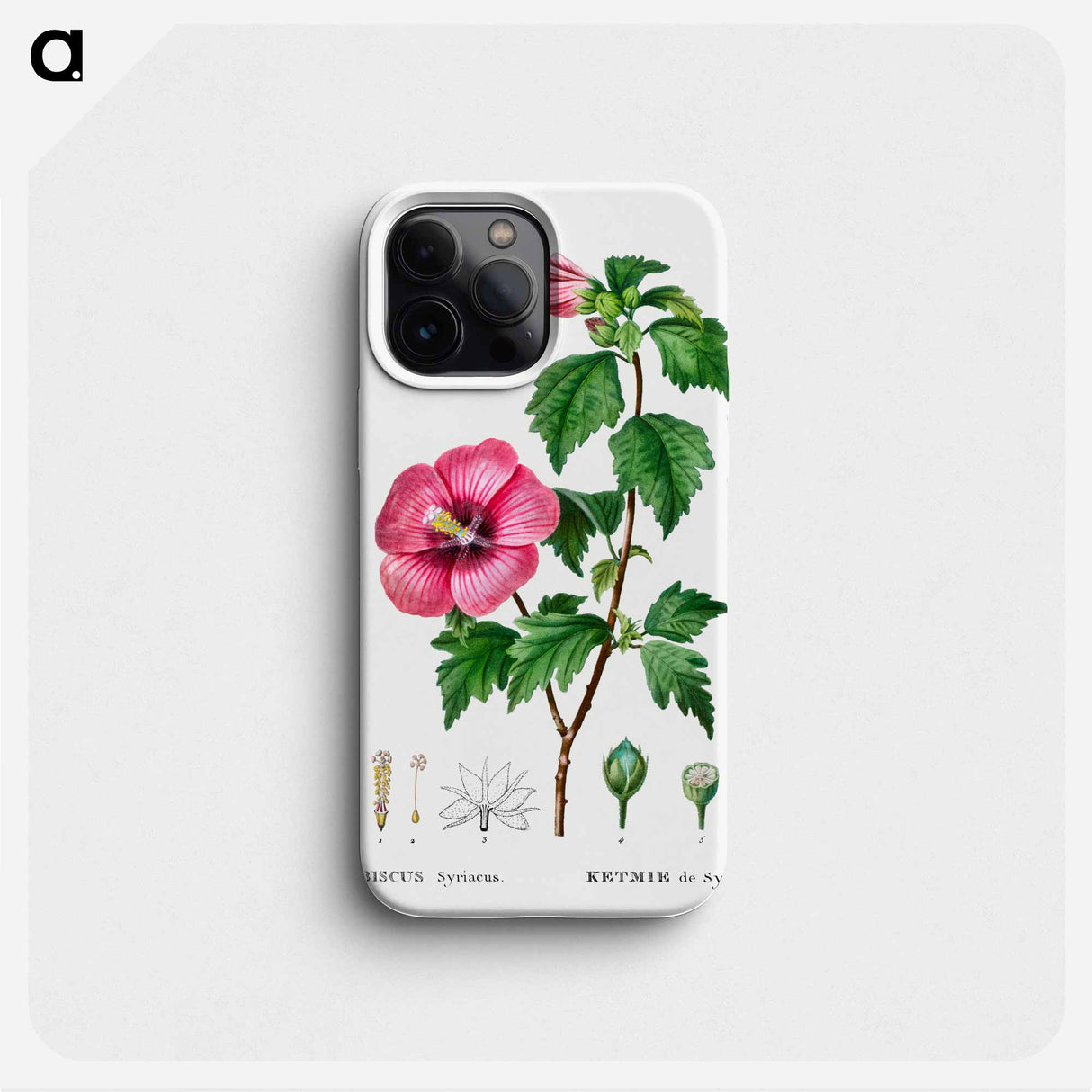 Rose of Sharon (Hibiscus syriacus) - Pierre Joseph Redouté Phone Case.