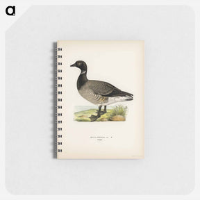 アートメモ帳-Brant Goose
 - スヴェンスカ フォグラル Memo.