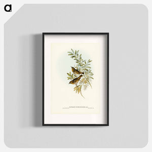 オーストラリア