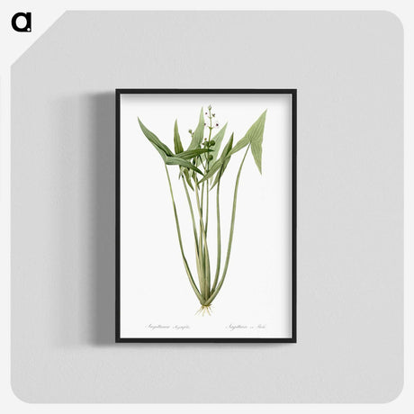 2-82_The-Lilies_blk-crop