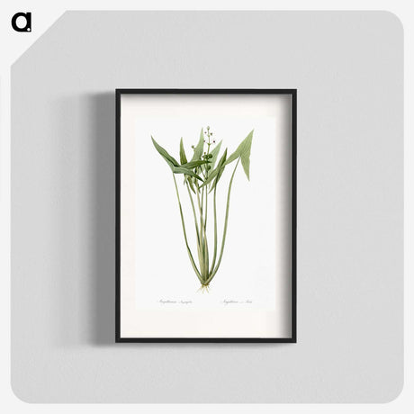 2-82_The-Lilies_blk