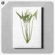 2-82_The-Lilies_canvas