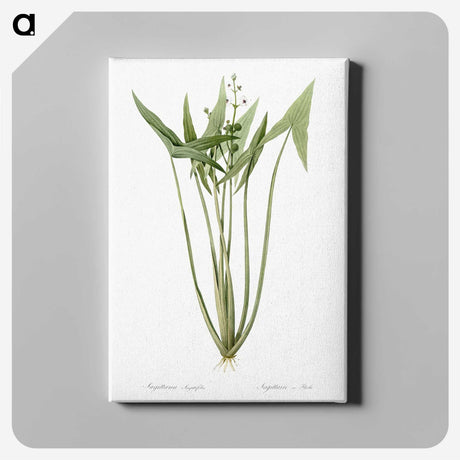 2-82_The-Lilies_canvas