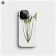 2-82_The-Lilies_phone