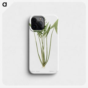 2-82_The-Lilies_phone