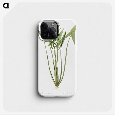 2-82_The-Lilies_phone